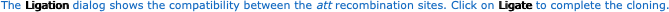 The recombination event replaces the
