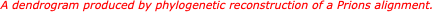 Fig. 7  A dendrogram