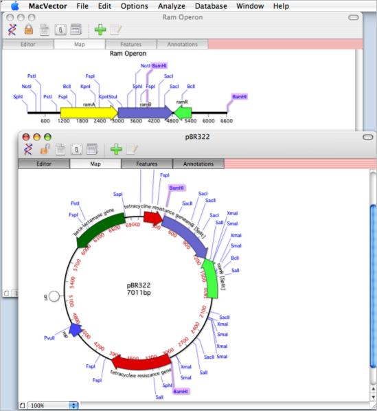 MV10ClickCloning