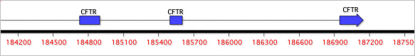 Segmented Feature Display