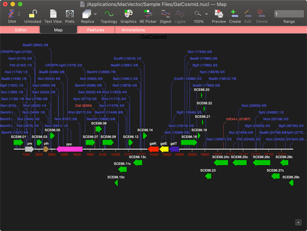 MapViewDarkMode