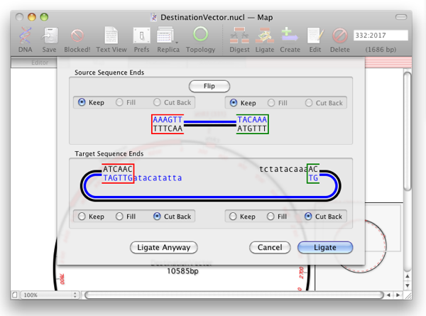 MultiwayGatewayEndLigationDialogue.png MultiwayGatewayEndLigationDialogue