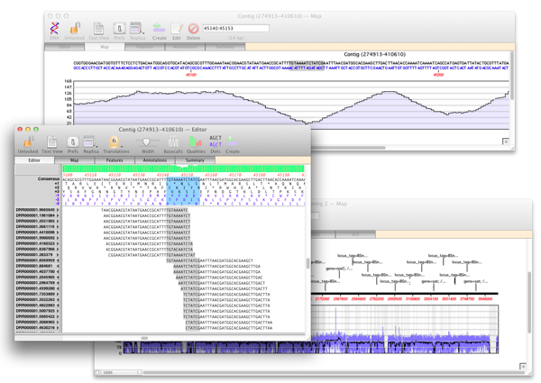 MV125_BowtieOverview.png MV125 BowtieOverview