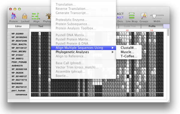 MV125_MuscleTcoffee.png MV125 MuscleTcoffee