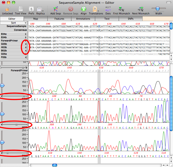 SequenceSampleAligned ― Editor.png