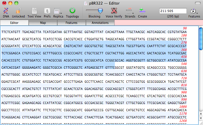 pBR322EditorWithSelection.png