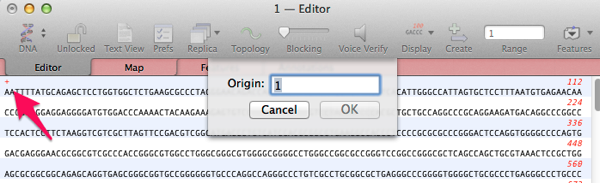 1_―_Editor.png 1 Editor