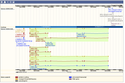 Ensembl_genome_browser_75__Homo_sapiens_-_Summary_-_Gene__PARL__ENSG00000175193_.png Ensembl genome browser 75 Homo sapiens Summary Gene PARL ENSG00000175193