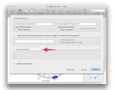 Primer_Design__Primer3__and_pBR322_nucl_―_Map.png Primer Design Primer3 and pBR322 nucl Map