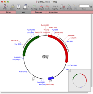 pBR322_nucl_―_Map.png PBR322 nucl Map
