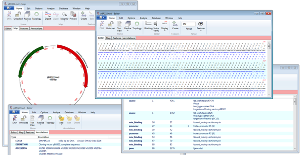 pBr322_Multiple WIndows.png PBr322 Multiple WIndows