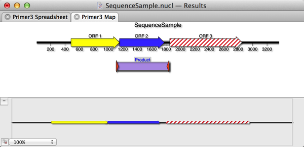 Primer3MapResult.png Primer3MapResult