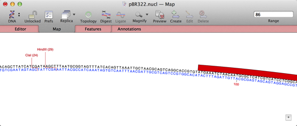 ZoomedToResidueLevel.png ZoomedToResidueLevel