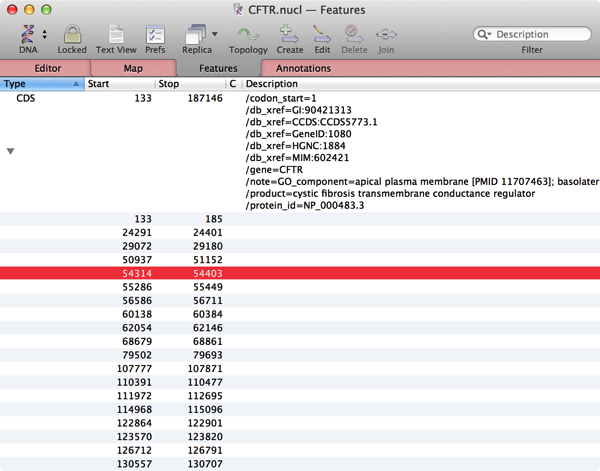 CFTR-CDS-oneselected.png CFTR CDS oneselected