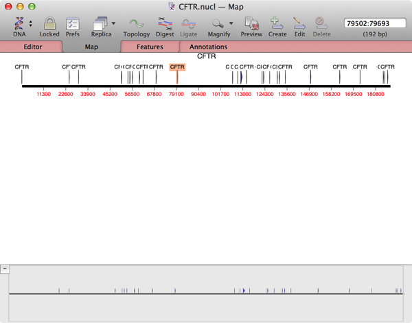 CFTR-CDS-oneselectedMap.png CFTR CDS oneselectedMap