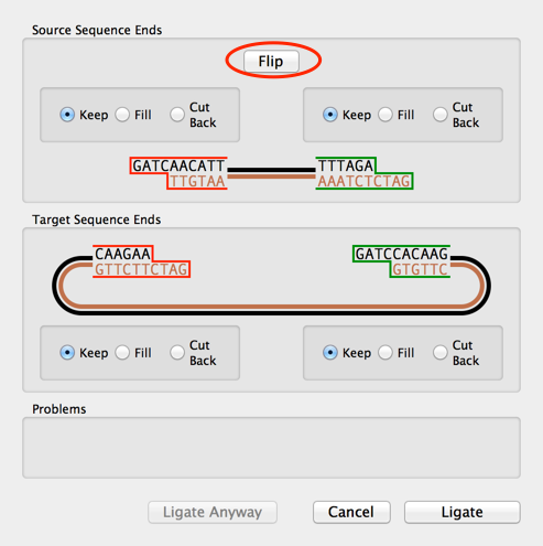 LigationFlip.png LigationFlip