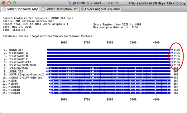 pDONR_207_Results.png PDONR 207 Results
