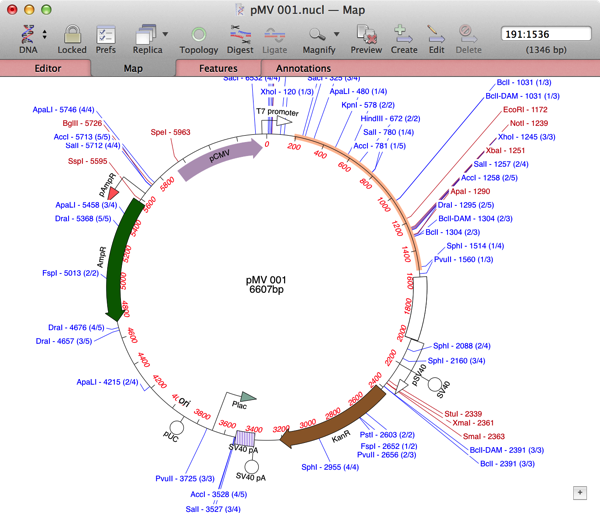 pMV_001after.png PMV 001after