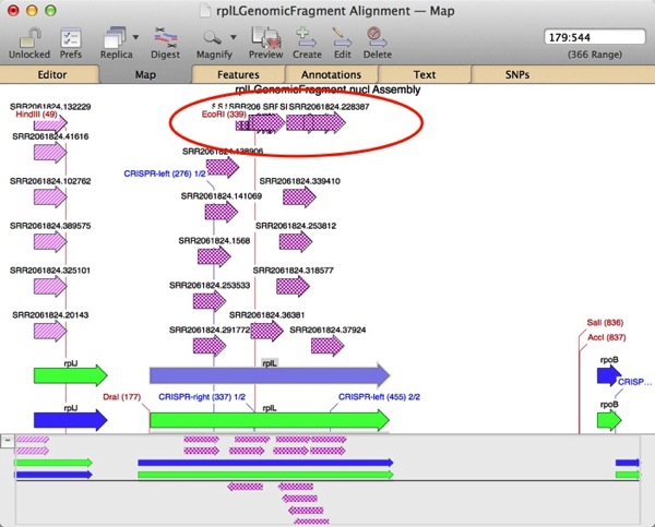 Overlapping Features.jpg Overlapping Features