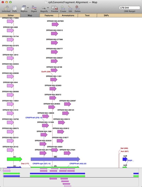 OverlappingFeaturesFixed.jpg OverlappingFeaturesFixed