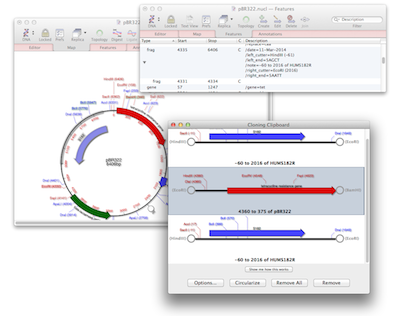 NewImage.png NewImage