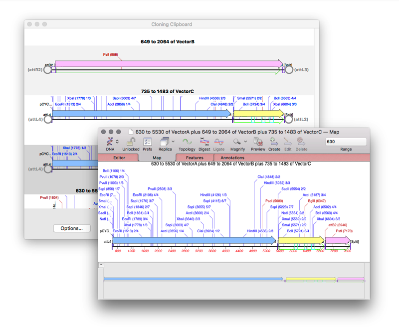 630_to_5530_of_VectorA_plus_649_to_2064_of_VectorB_plus_735_to_1483_of_VectorC_―_Map_and_Cloning_Clipboard.png 630 to 5530 of VectorA plus 649 to 2064 of VectorB plus 735 to 1483 of VectorC Map and Cloning Clipboard