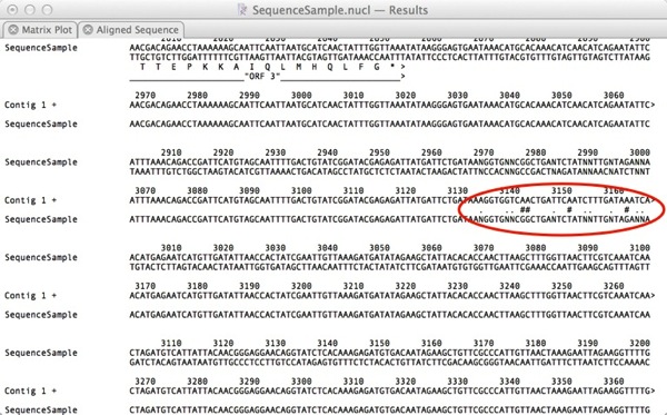 ModifiedAlignmentChars.jpg ModifiedAlignmentChars