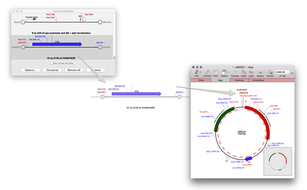 Screenshot_16_12_2015__17_26.png Screenshot 16 12 2015 17 26