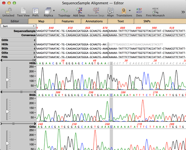 NewImage.png NewImage