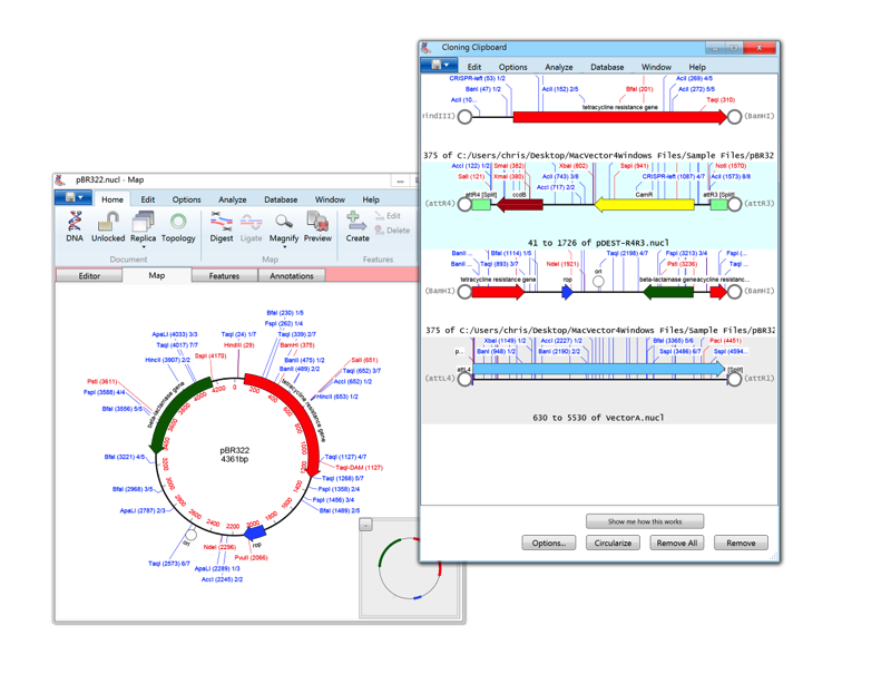 MV4Win_Cloning.png MV4Win Cloning