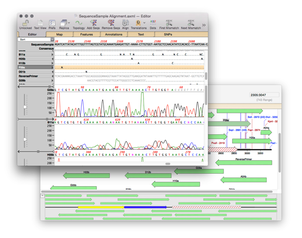 NewImage.png NewImage