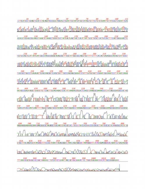 NewImage.png NewImage