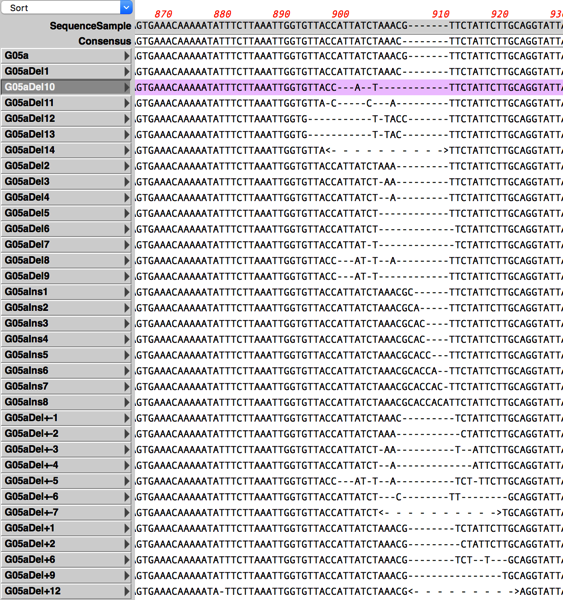 CRISPR14 5 3Results