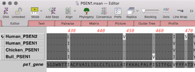 NewImage.png NewImage