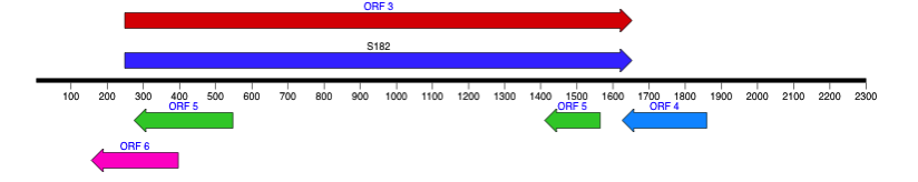 NewImage.png NewImage