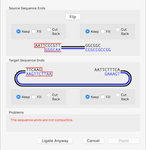 NewImage.png NewImage