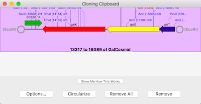 NewImage.png NewImage