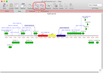 NewImage.png NewImage