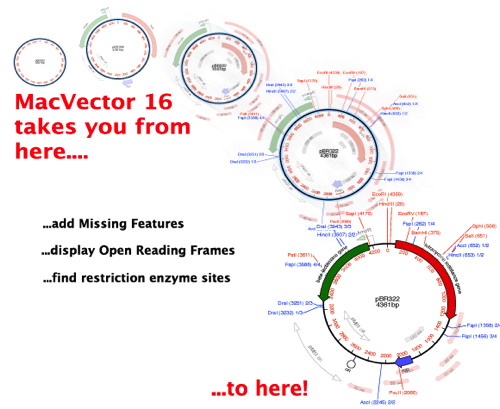 Scan-for-Missing-Features-workflow_v2.png Scan for Missing Features workflow v2