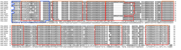 Prions_text.png Prions text