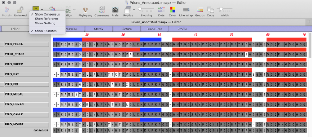 An alignment of DNA sequences showing shared functional domains on them