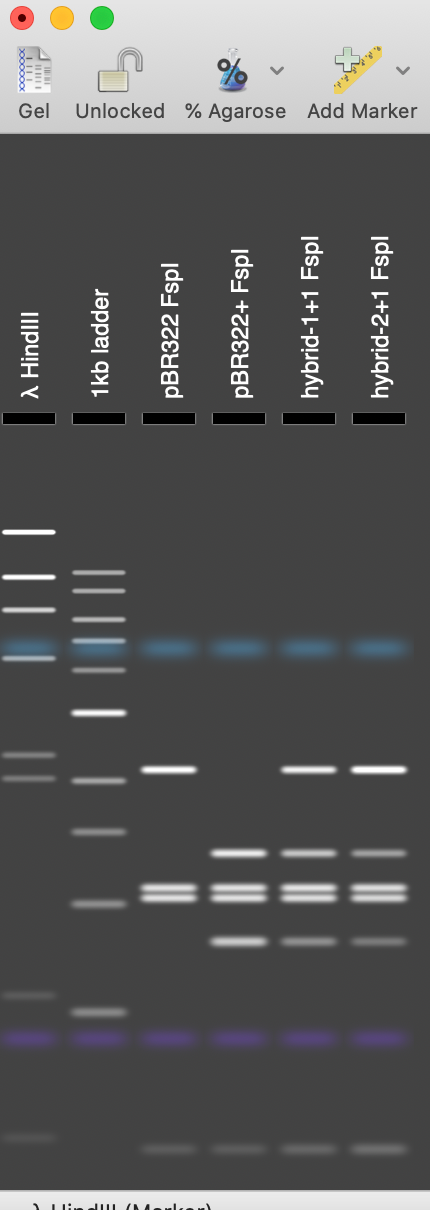 Unknown.png Unknown