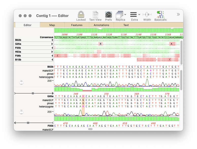 HET_analysis_Assembly.png HET analysis Assembly