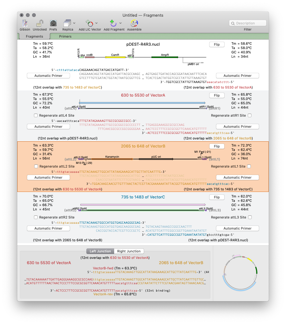 A dialog showing a tool to design primers for gibson cloning