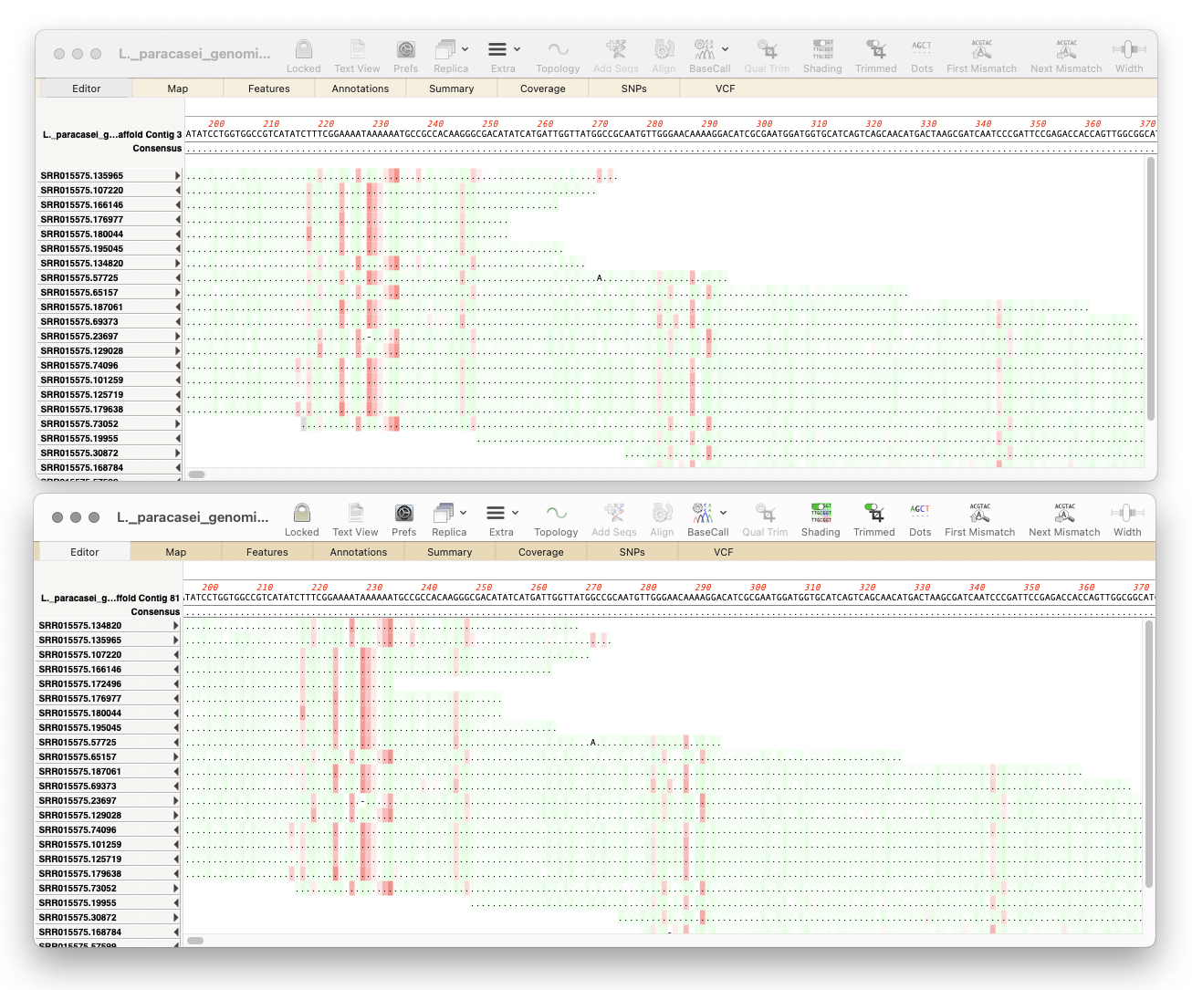 Two alignments of the same sequencing set aligned by bowtie2 and minimap2